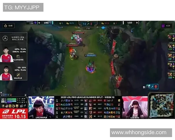 王者荣耀LNG战队灵活性解析与战术应用探讨实时新闻